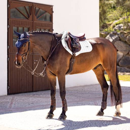 LeMieux Loire Memory Square Satin Close Contact Saddle Pad - EQ Saddlery