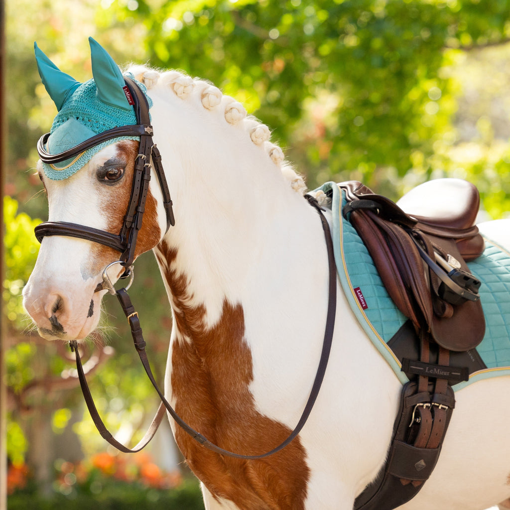 LeMieux Mini Fly Hood