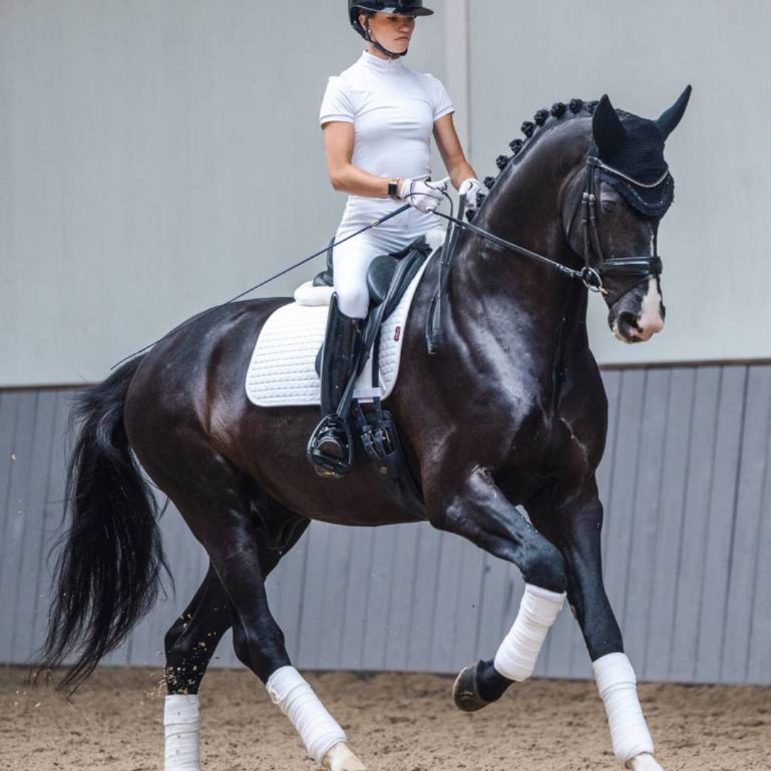 LeMieux Cotton Dressage Square Saddle Pad - EQ Saddlery