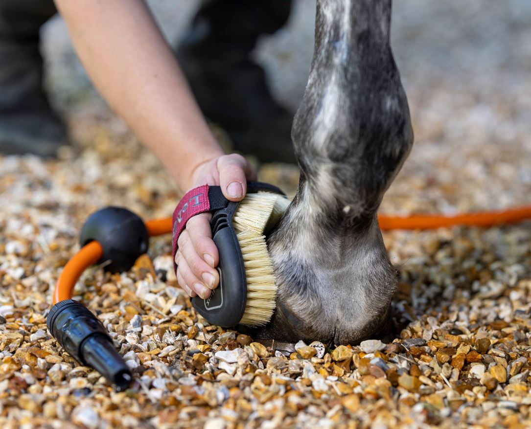 LeMieux Flexi Scrubbing Brush - EQ Saddlery