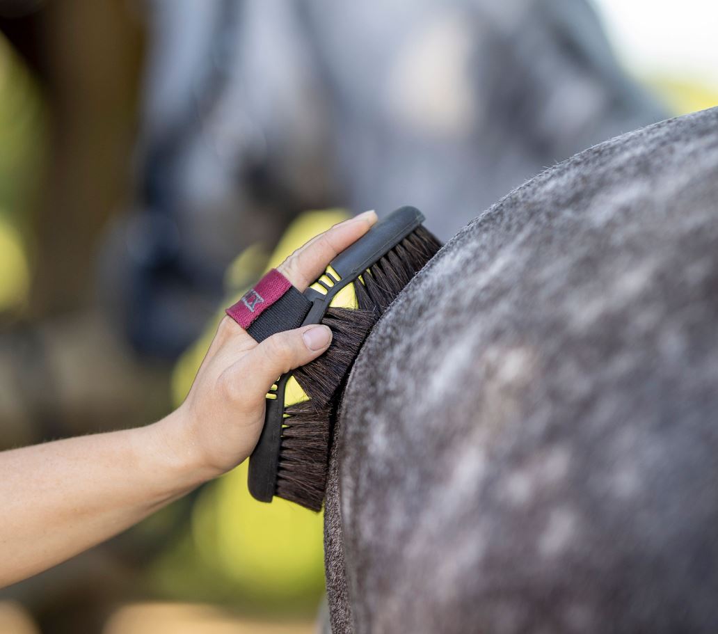 LeMieux Flexi Horse Hair Body Brush - EQ Saddlery