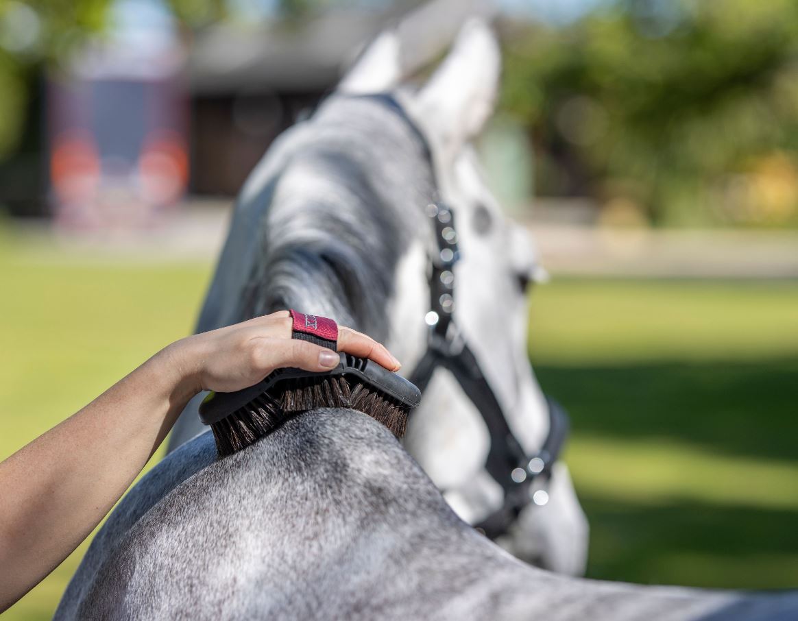 LeMieux Flexi Horse Hair Body Brush - EQ Saddlery