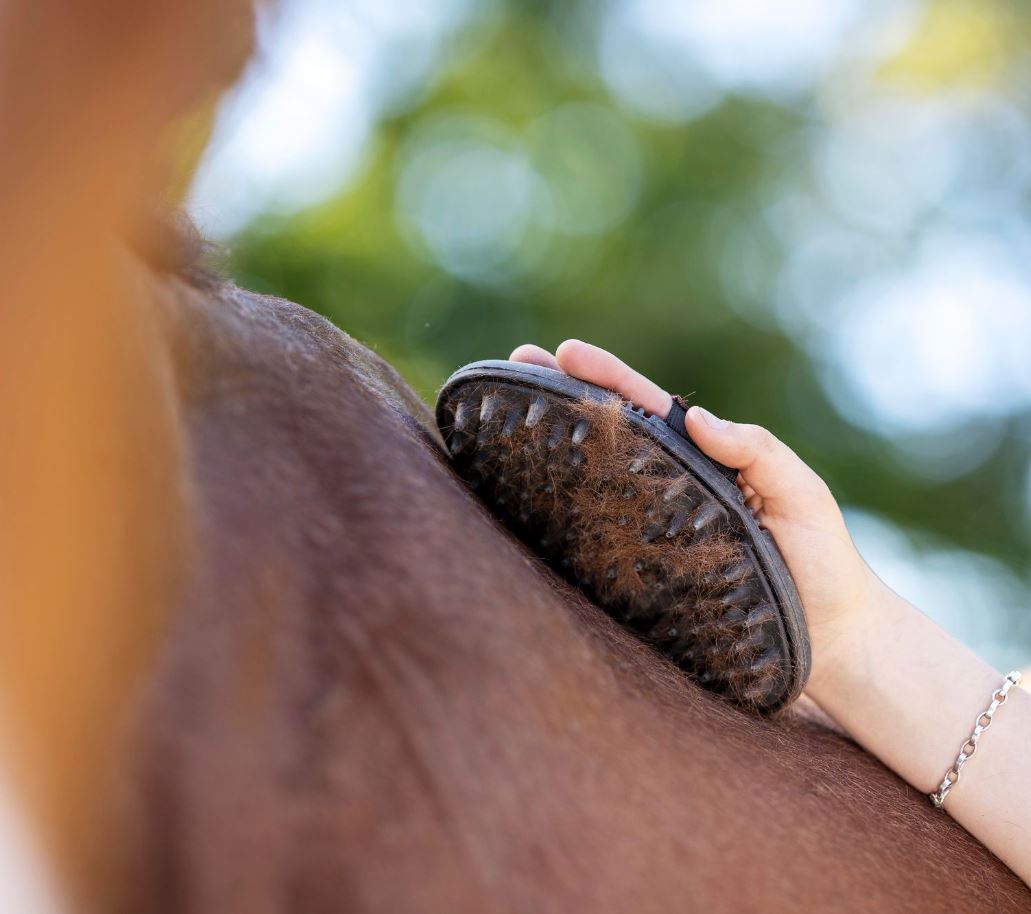 LeMieux Flexi Massage Brush - EQ Saddlery