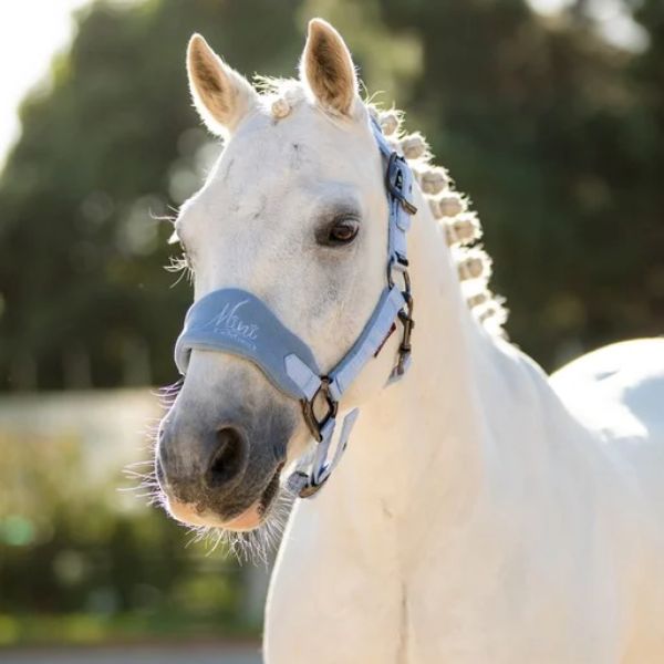 LeMieux Mini Vogue Headcollar and Lead Rope