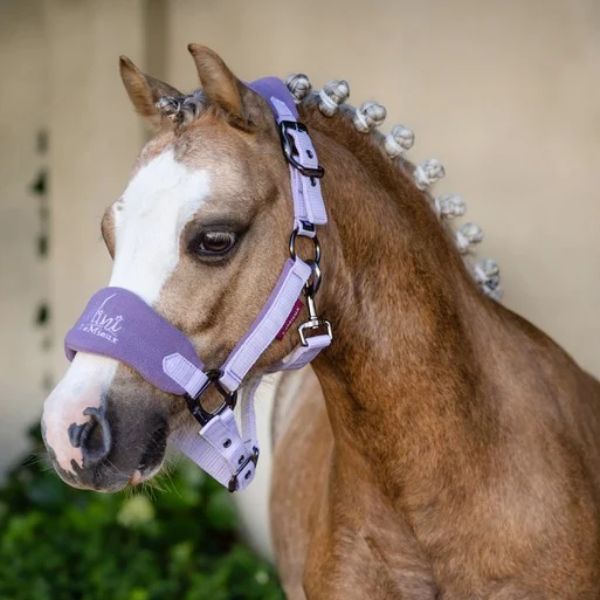 LeMieux Mini Vogue Headcollar and Lead Rope