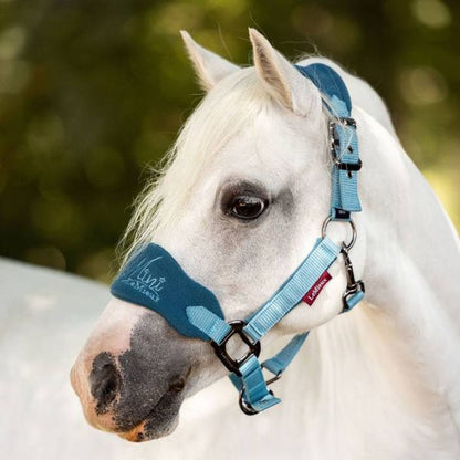 LeMieux Mini Vogue Headcollar and Lead Rope