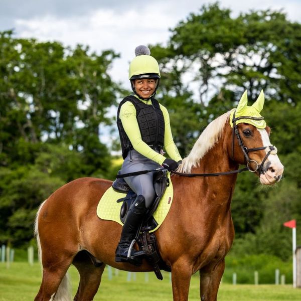 Mountain horse base layer online