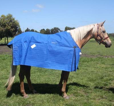 Skye Park Oxford Deluxe Lined Canvas Rug - EQ Saddlery