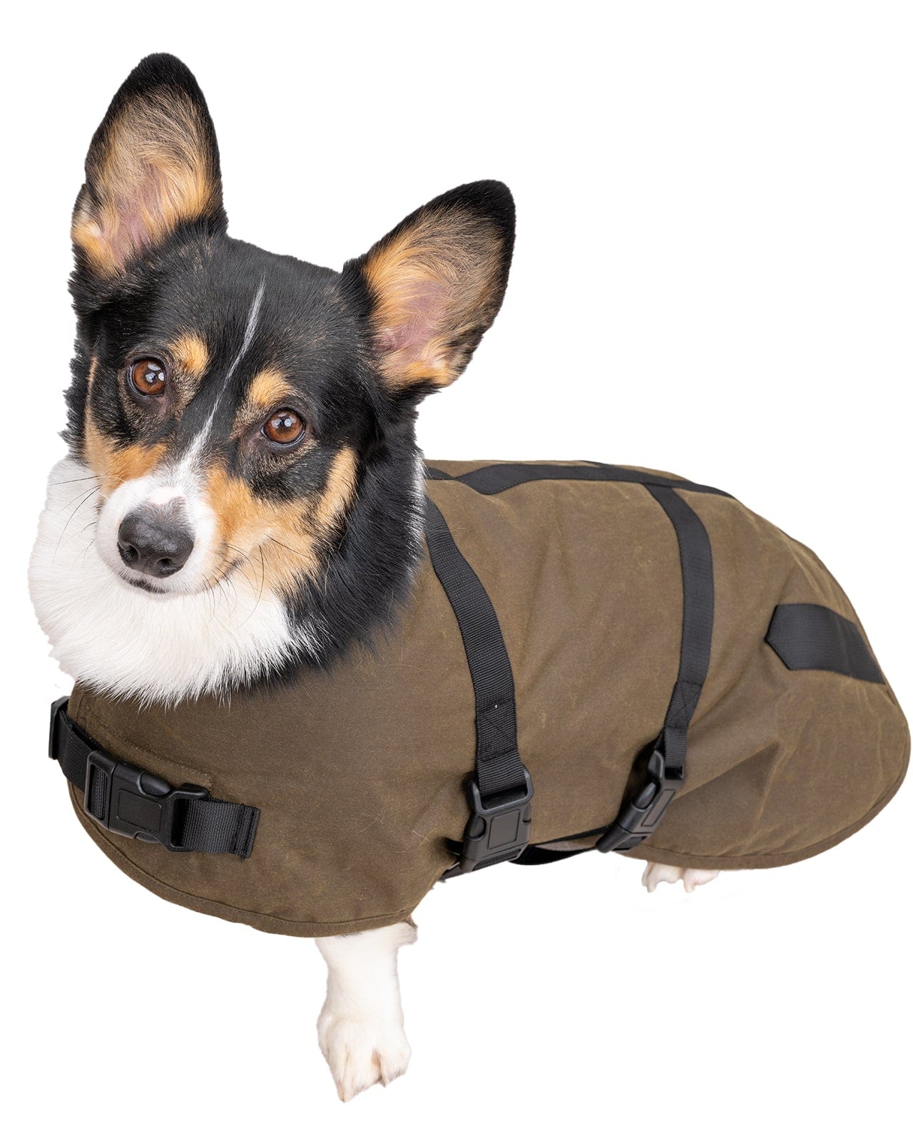 Outback Trading Clancy Oilskin Dog Coat