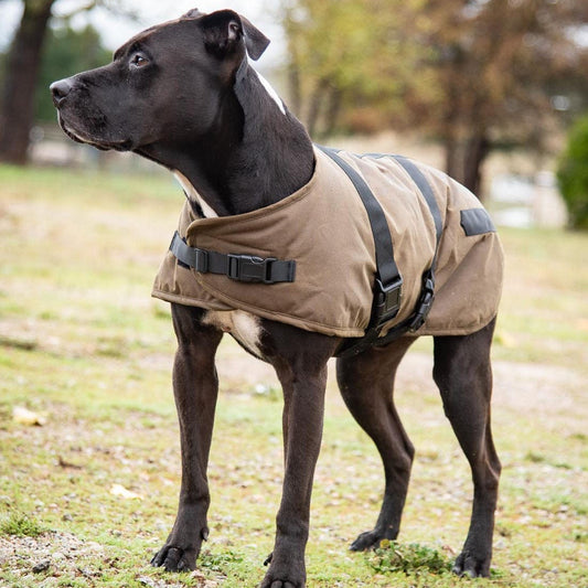 Outback Trading Clancy Oilskin Dog Coat