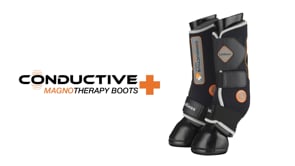 LeMieux Magno Tendon Boots