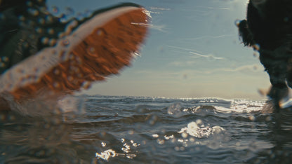 LeMieux Trax Waterproof Trainer