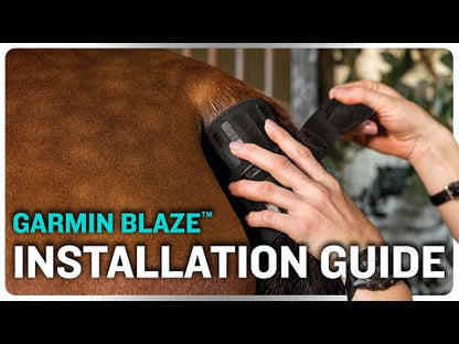 Garmin Blaze Equine Wellness System