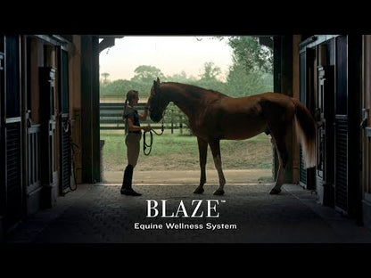 Garmin Blaze Equine Wellness System
