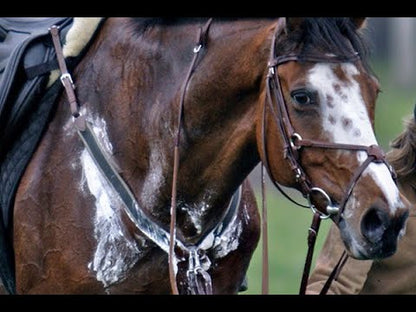 KER Restore Paste - Pair