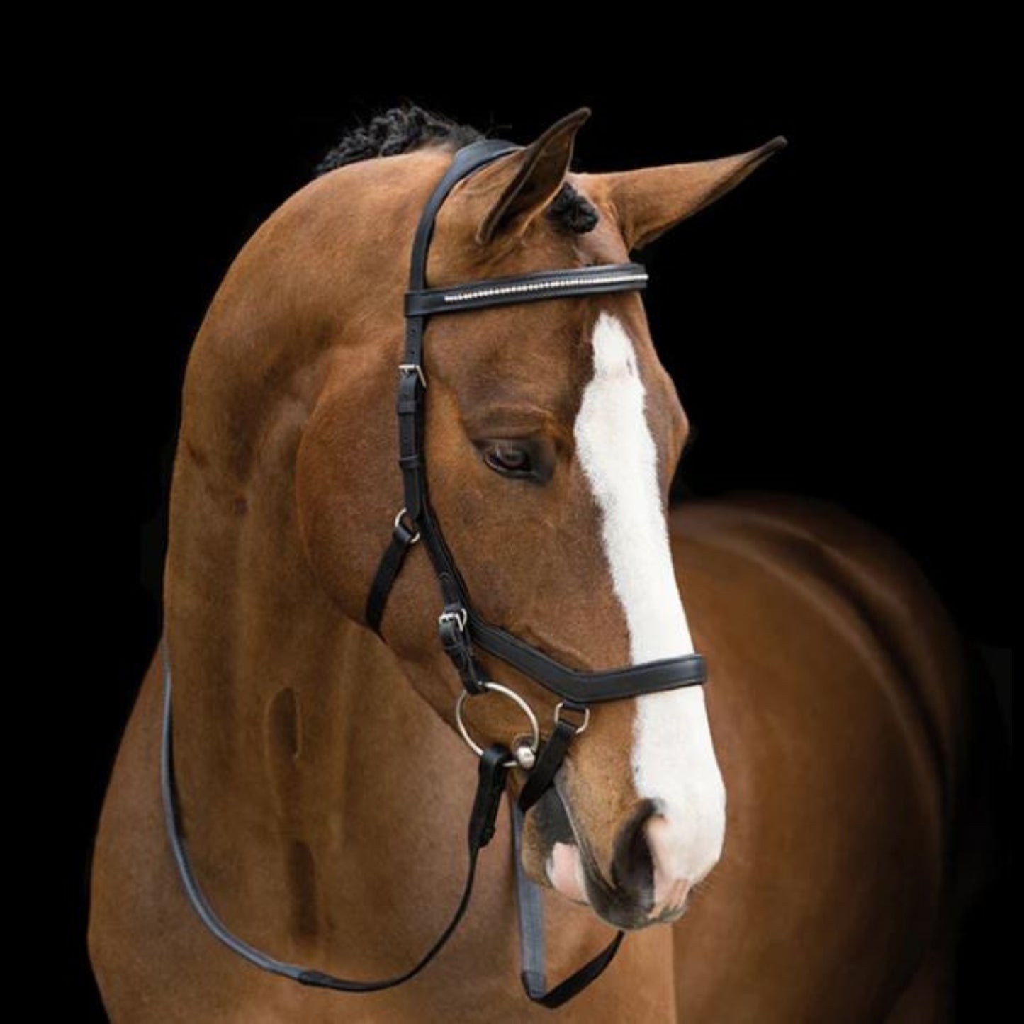 Rambo Micklem Diamonte Competition Bridle