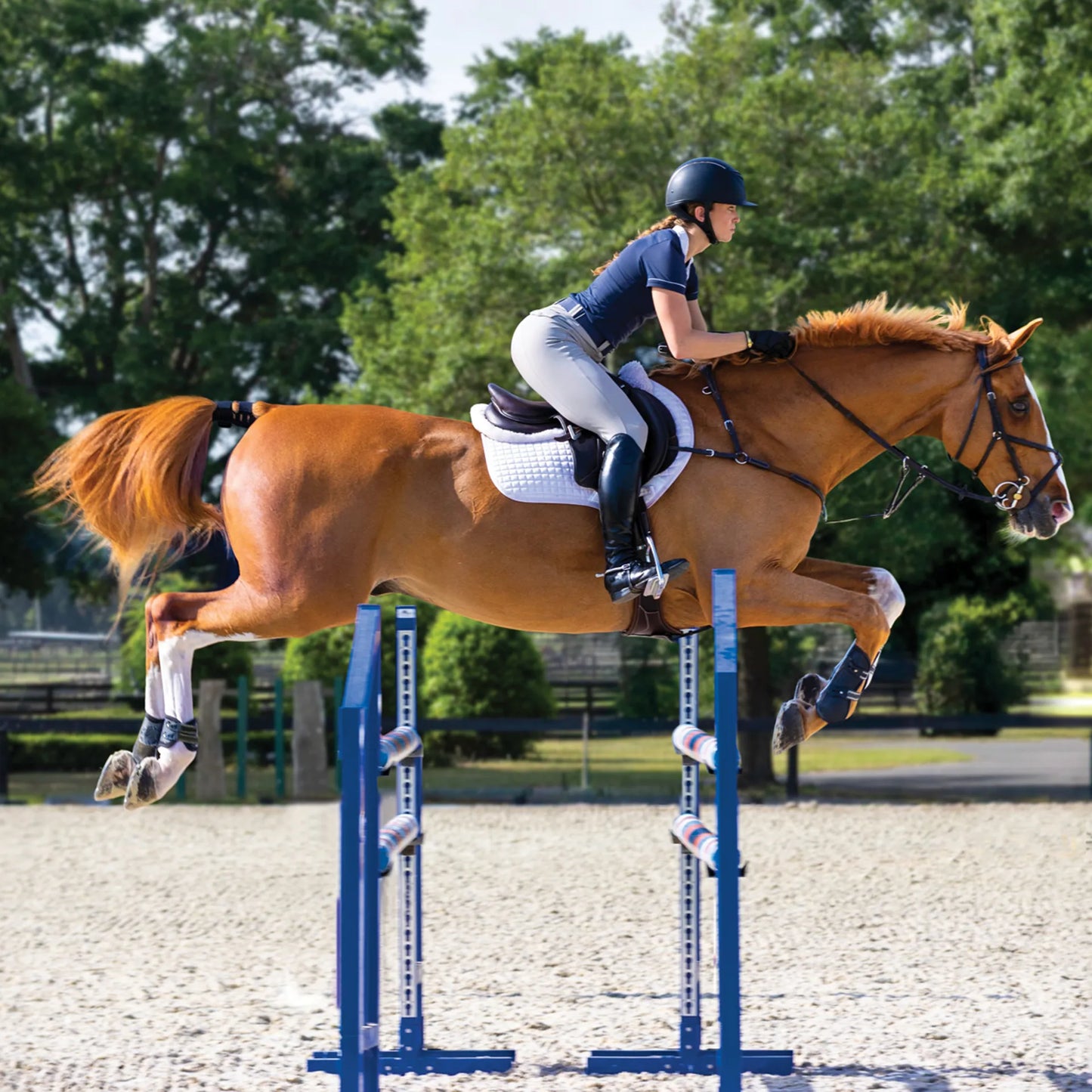 Garmin Blaze Equine Wellness System