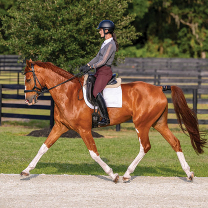 Garmin Blaze Equine Wellness System