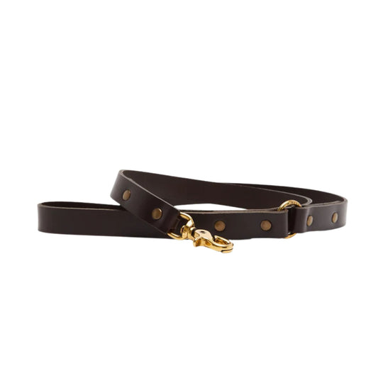 RMW Dog Lead