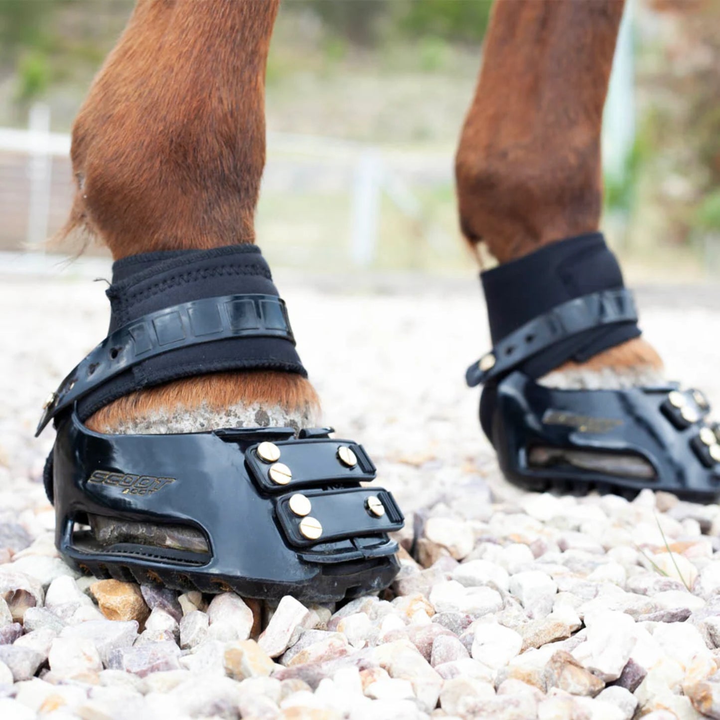 Scootboot Endurance Gaiters