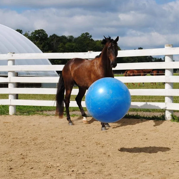 Jolly Mega Horse Ball and Cover Set