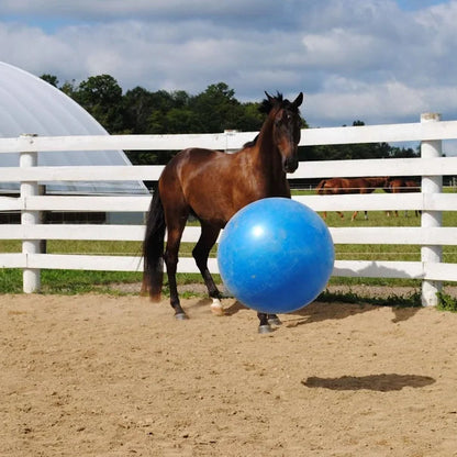 Jolly Mega Horse Ball and Cover Set