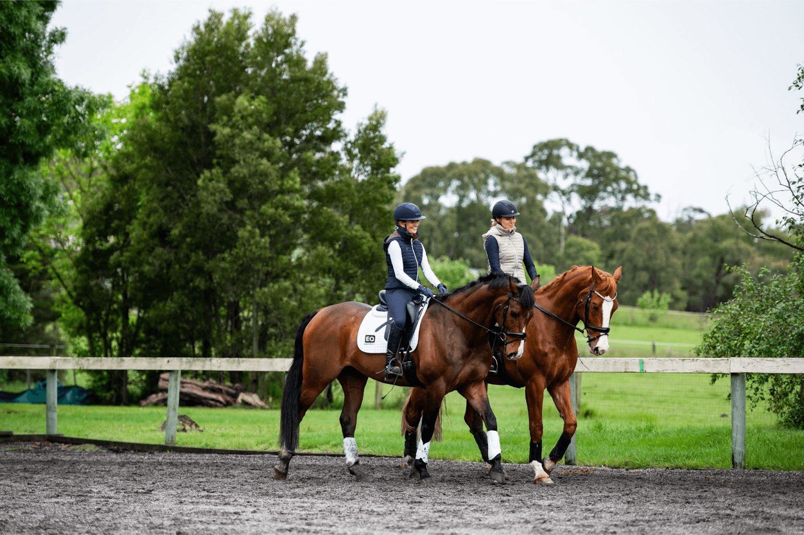 Horse Shop Horse Gear for Sale EQ Saddlery