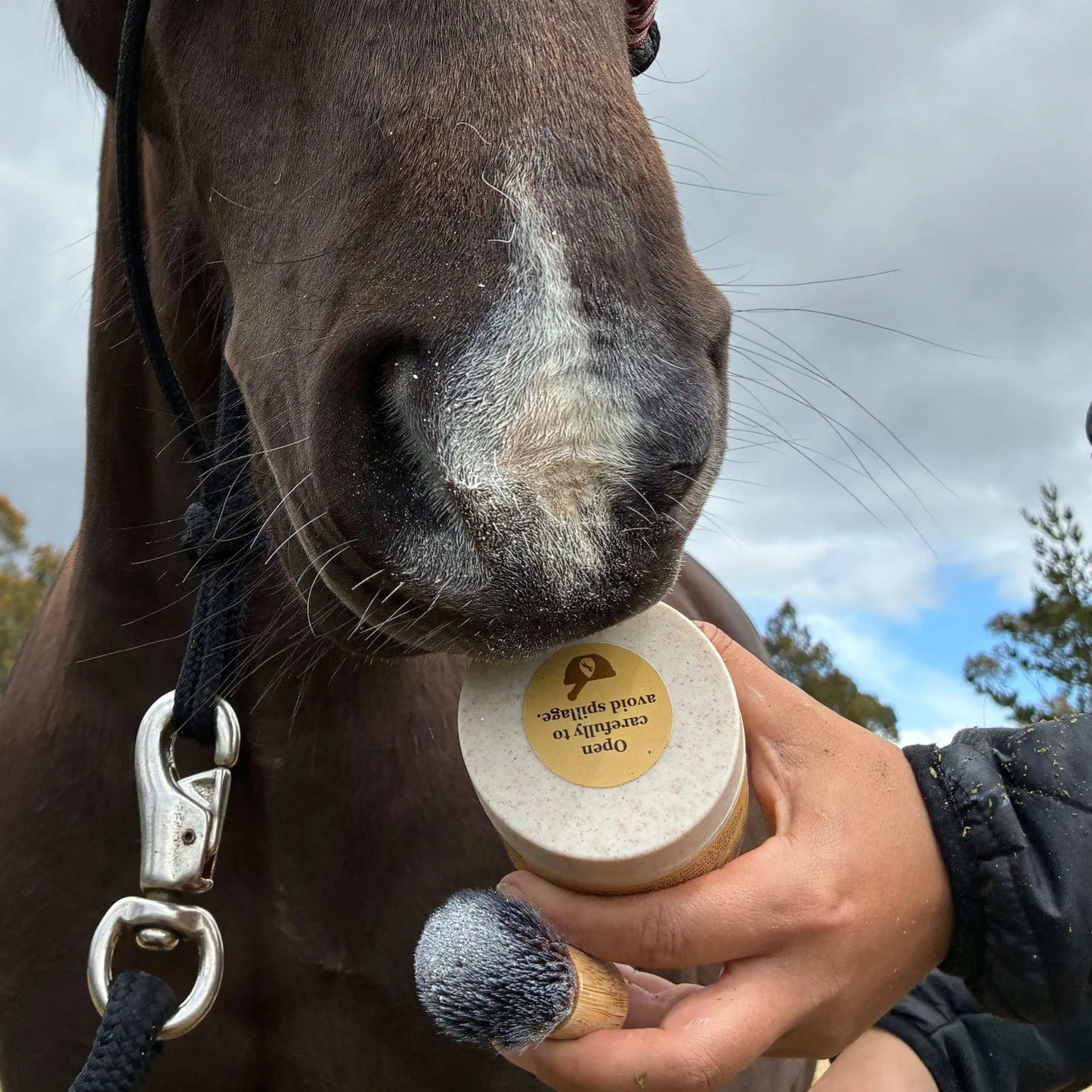 The Equid Apothecary Sun Dust