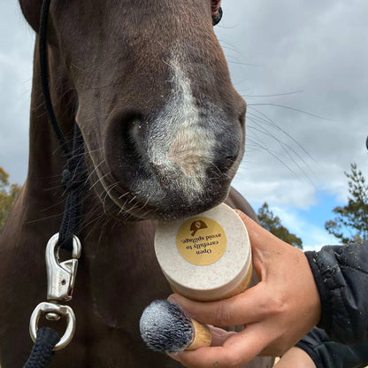 The Equid Apothecary Sun Dust