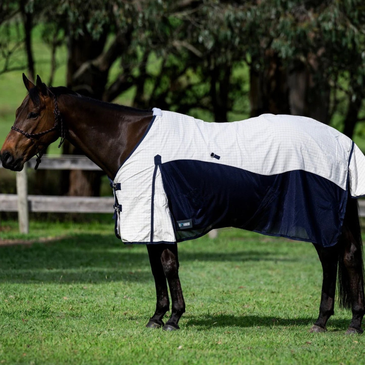EQ Armour Ultra Hybrid Rug