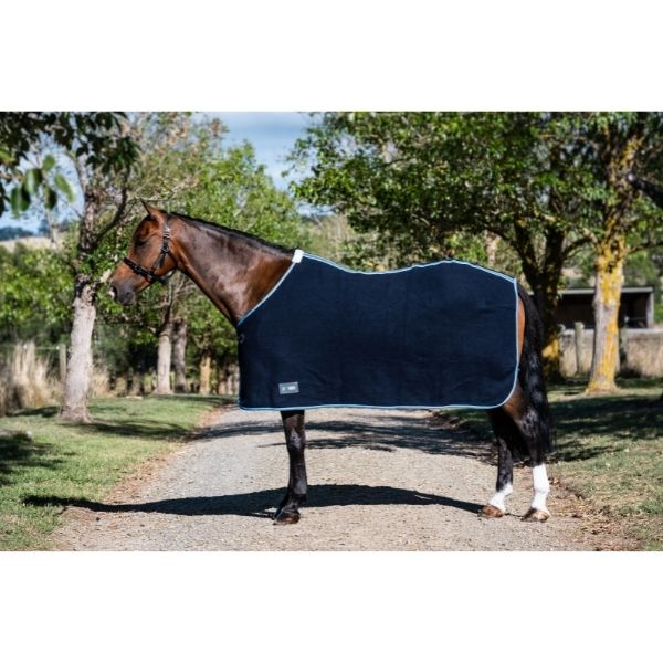 EQ Armour Wool Rug