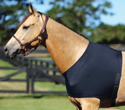 Horsemaster Lycra Shoulder Guard