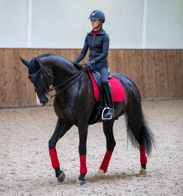LeMieux Prosport Suede Square Dressage Saddle Pad
