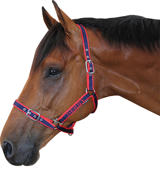 Derby Soft Cushion Halter - EQ Saddlery