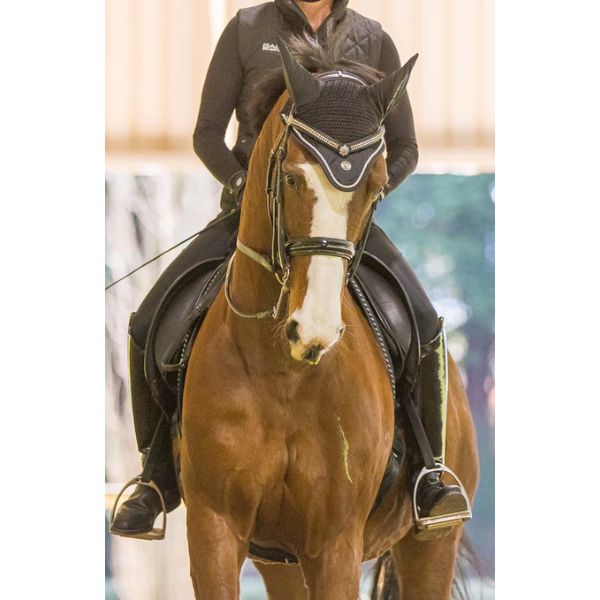 BARE Signature Ear Net - EQ Saddlery