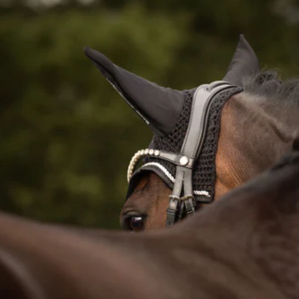 BARE Signature Ear Net - EQ Saddlery