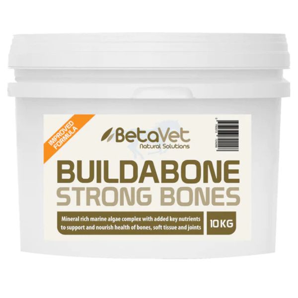 BetaVet BuildaBone - EQ Saddlery