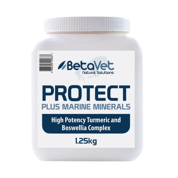 BetaVet Protect
