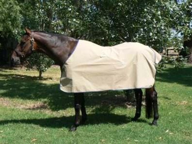 Skye Park Celsius Showerproof Rug - EQ Saddlery