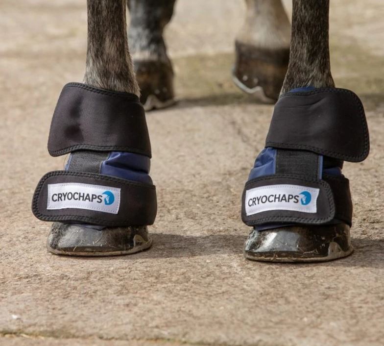 Cryochaps Absolute Ice Wraps Pastern/Hocks/Knees - Pair - EQ Saddlery