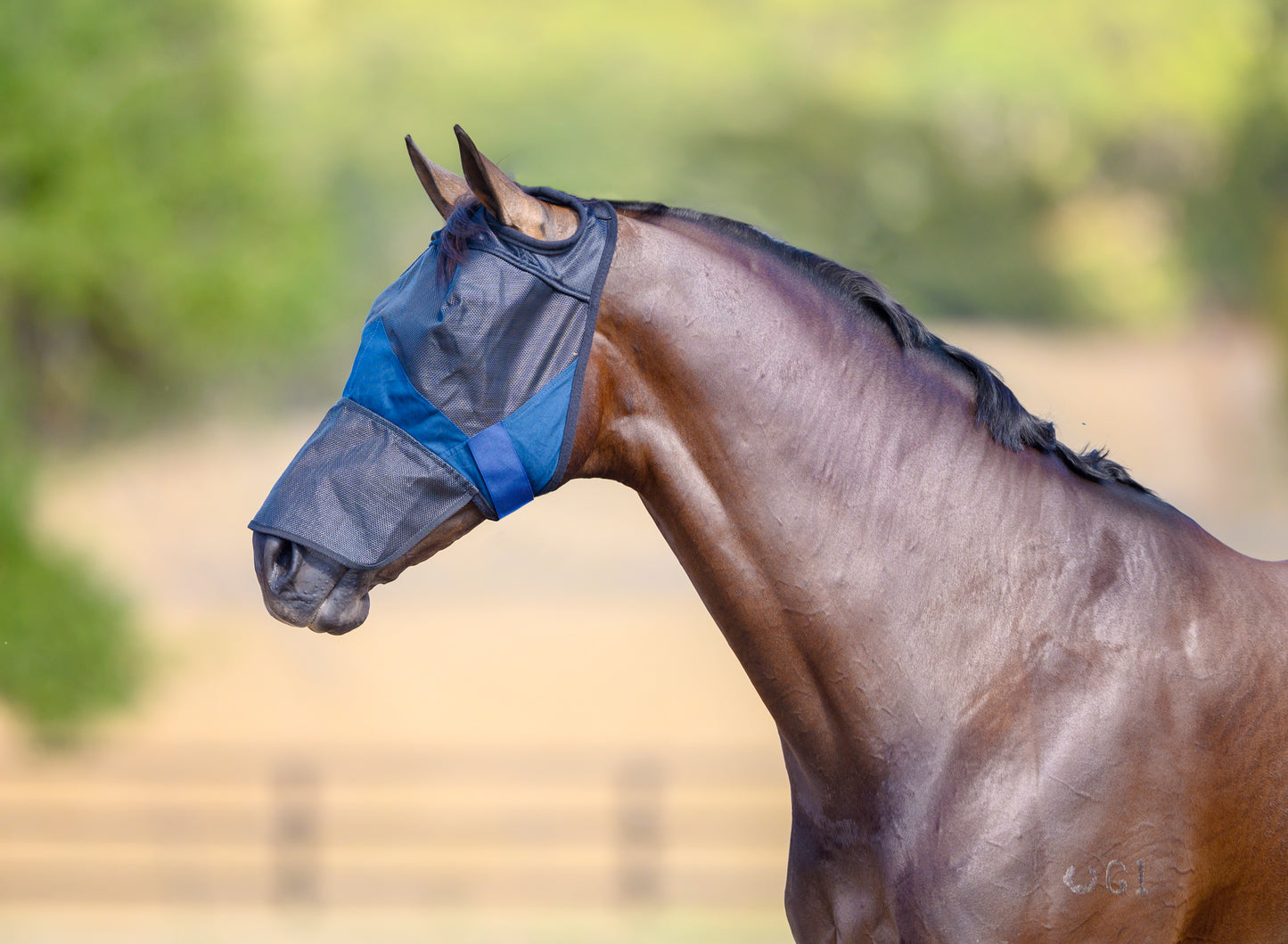 Derby Deluxe Fly Mask With Nose - EQ Saddlery
