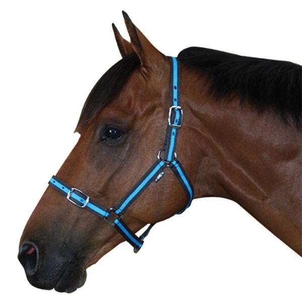 Derby Economy Halter