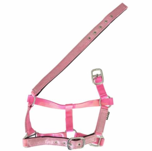 Derby Rexeen Sparkle Padded Halter - EQ Saddlery