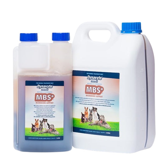 Dynavyte Microbiome Support - EQ Saddlery