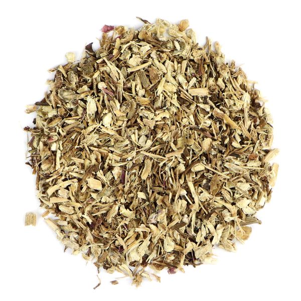Echinacea - EQ Saddlery
