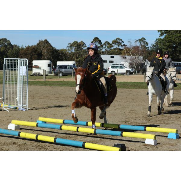 Ferrari Cavaletti Blocks