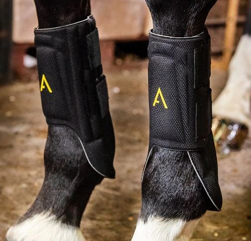 Adagio Protective Leg Boots - EQ Saddlery