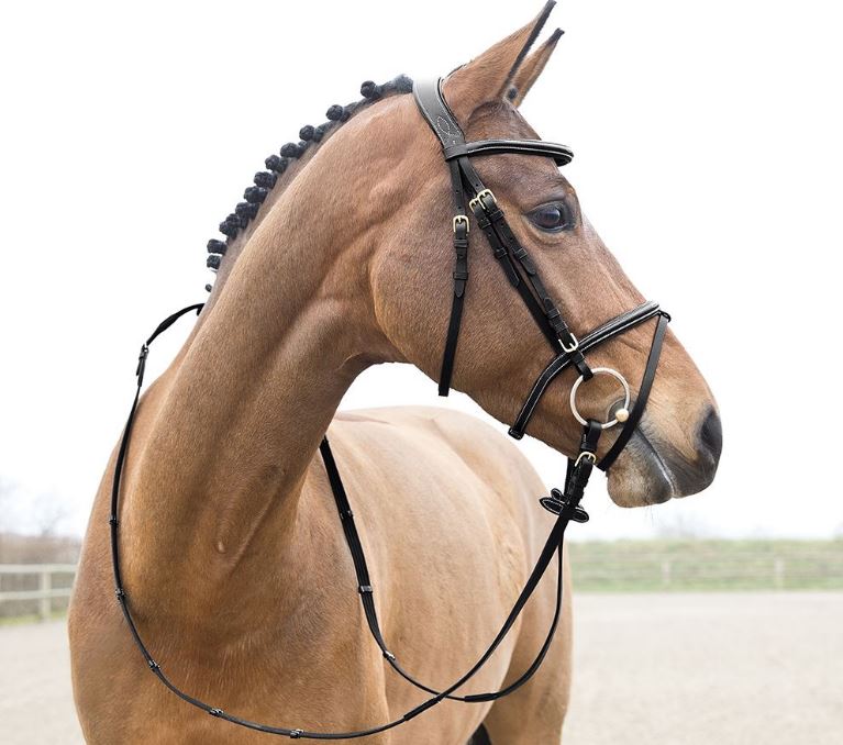Horze Constance Bridle - EQ Saddlery