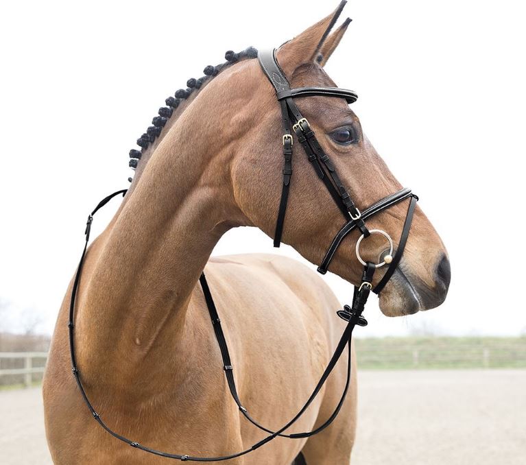 Horze Constance Bridle