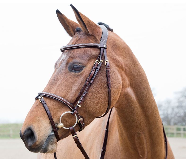 Horze Constance Bridle - EQ Saddlery